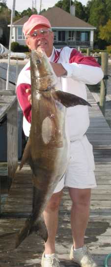 Mike Hendrix with nice cobia