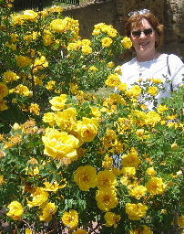 Joyce Hendrix with Yellow Roses brought to Central City by Cornish Miners in the 1860's