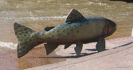 Trout statue on Clear Creek in Golden, Colorado