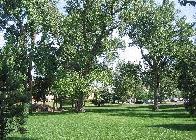 Green-Space along Clear Creek Golden, Colorado