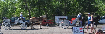 Carriage rides Golden Colorado