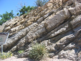 Dakota Sandstone layers exposed on Hogback Ridge near Morrison, Colorado
