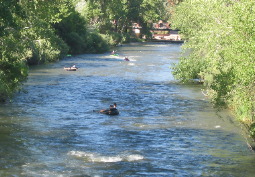 Kayakers Clear Creek