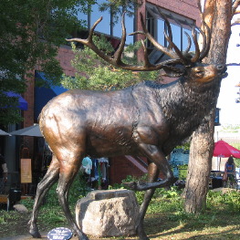 Bronze Elk on display at Pearl Street Mall Boulder, Colorado