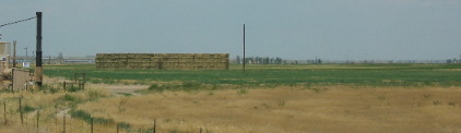 Agricultural Ggreeley Colorado