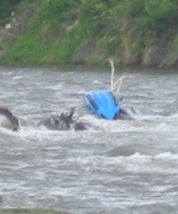 Kayak hung on snag in Arkansas River north of Poncha Springs