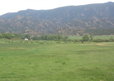 View from SR-9 between Hartsel and Parkdale