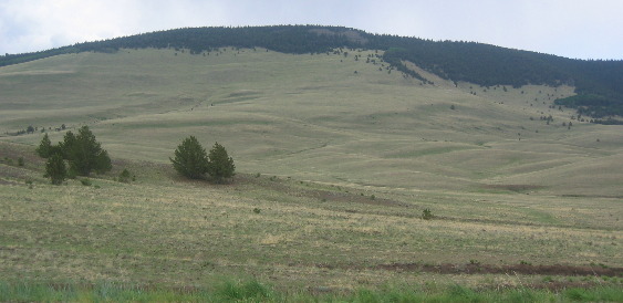 Hartsel is located on a short-grass prairie