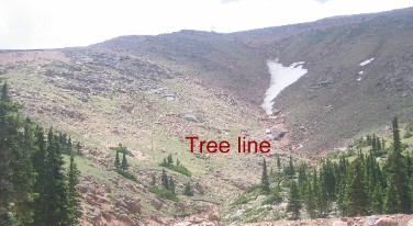 Timberline on Pikes Peak