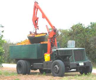 Closeup of the machinery used to haul fruit in the grove and pick up those plastic tubs of fruit