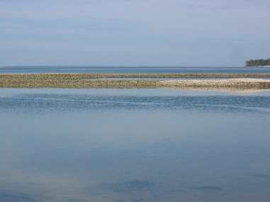 View of oyster beds on a bar off St George Island
