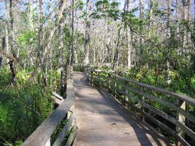 Boardwalk in Corkscrew Audubon Sanctuary