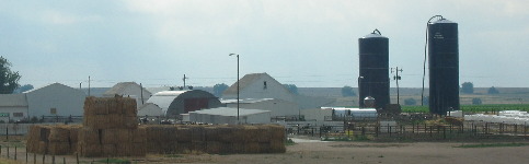 Dairy operation east of Ault, Colorado