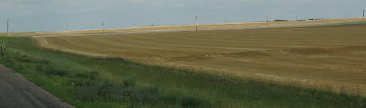 Dry land wheat farming is the economy south of Gering, Nebraska