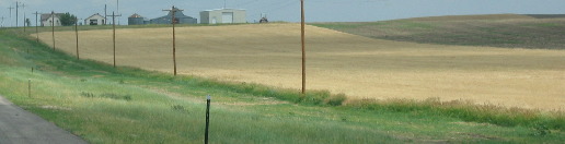 Dry land wheat farming north of Kimball, Nebraska