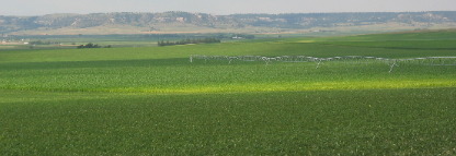 Irrigation has turned this prairie green around Gering, Nebraska