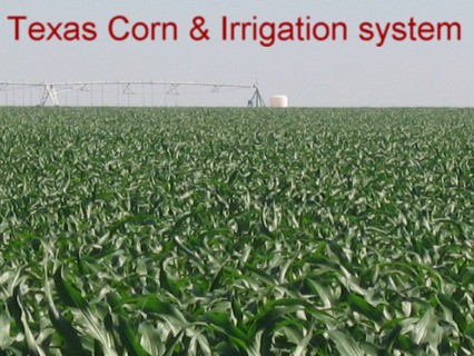 Irrigated crop circles west of Dalhart, Texas