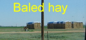 Baled hay in the Texas Panhandle