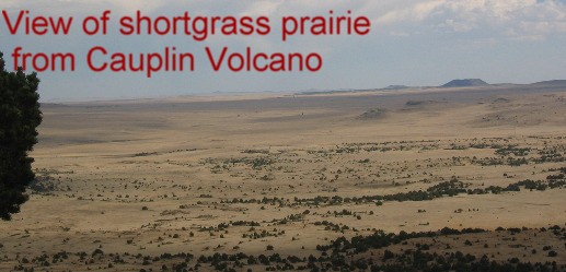 View from Capulin Volcano National Monument in NE New Mexico