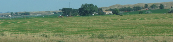 Hay field along the North Platte River