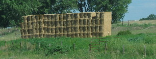 Bales of hay produced from irrigated fields compliments of the North Platte River