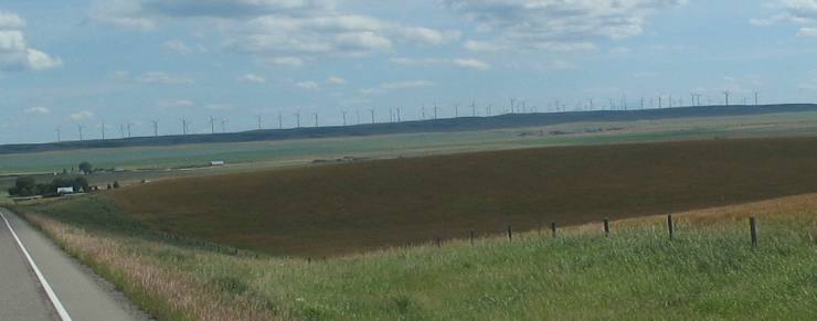 Huge wind farm in Ft. Macleod, Alberta
