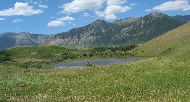 entrance road to Waterton National Park