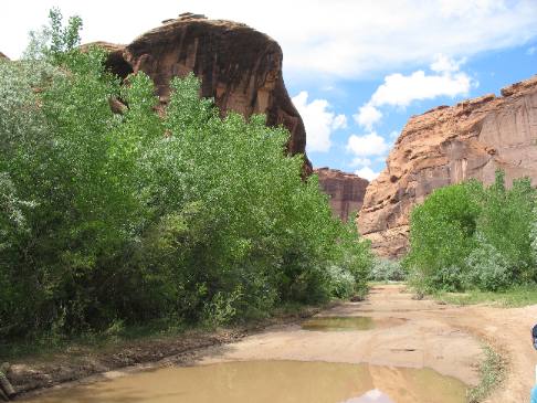 Canyon de Chelly