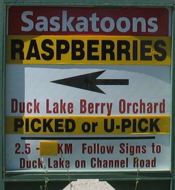 Duck Lake Berry Orchard Creston