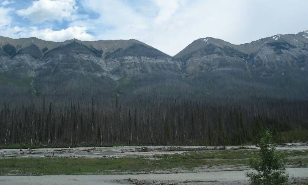 Canadian Rockies PH93 Kootenay National Park