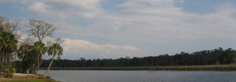 St Marks National Wildlife Refuge