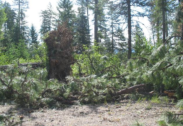 Storm damage from the storm we experienced on Coeur d'Alene Lake a few days ago