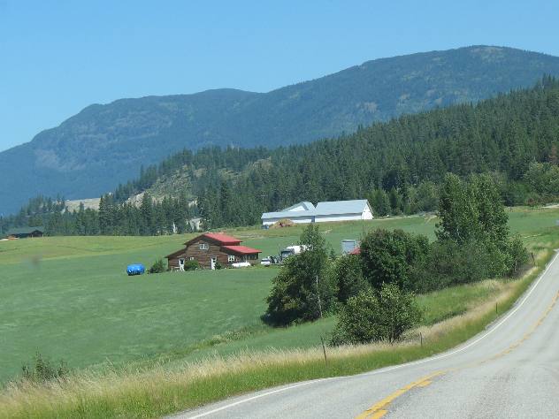 Northern Idaho grain field
