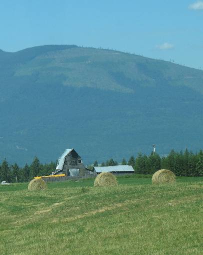 Northern Idaho hay field