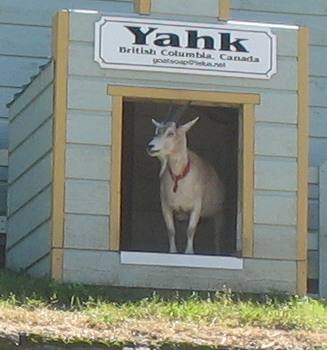 Goat Mountain Soap Company in Yak, British Columbia