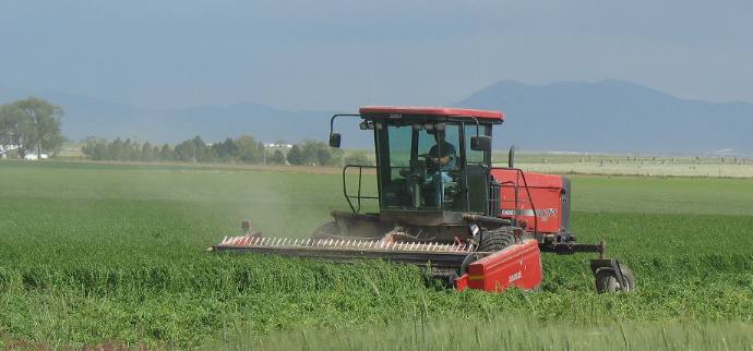 Idaho Agriculture in this picture of farmer cutting alfalfa hay