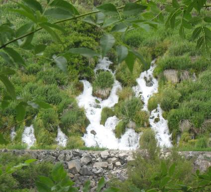 THOUSAND SPRINGS in the Hagerman Valley