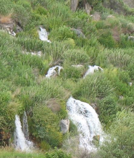 THOUSAND SPRINGS in the Hagerman Valley