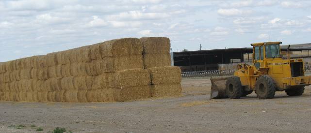 Hay stockpiled at one of the large dairys around Buhl, Idaho