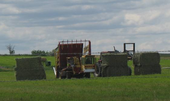 Hay farming operation supplying the dairy operations around Buhl and Hagerman