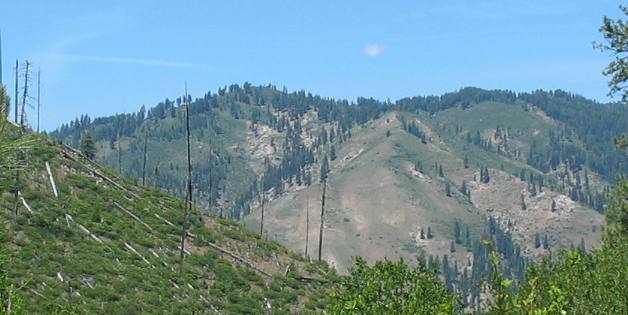 Lowman Fire of 1989 as seen from Ponderosa Pine Scenic Byway