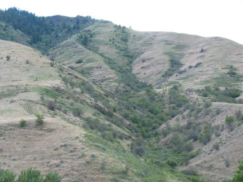 Typical geology around Riggins, Idaho