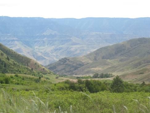 Looking down into Hells Canyon from Forest Service Road 493 in Hells Canyon NRA southwest of White Bird, Idaho