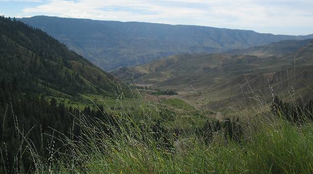 Looking down into Hells Canyon from Forest Service Road 493 in Hells Canyon NRA southwest of White Bird, Idaho