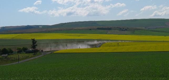 Canola fields justapoxed against a grain field on the Camas Prairie south of Nezperce, Idaho