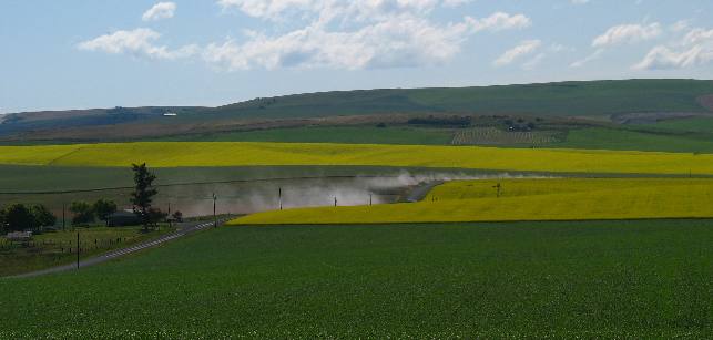 Canola and grain on the Camas Prairie south of Nezperce in western Idaho 