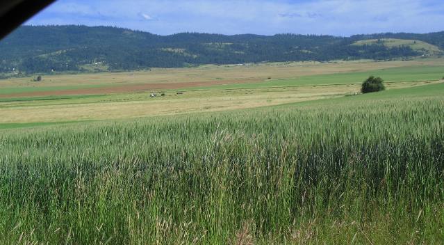 Southwestern corner of the Camas Prairie in western Idaho