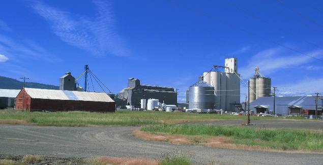 Grain elevators on the outskirts of Grangeville on the southern side of the Camas Prairie