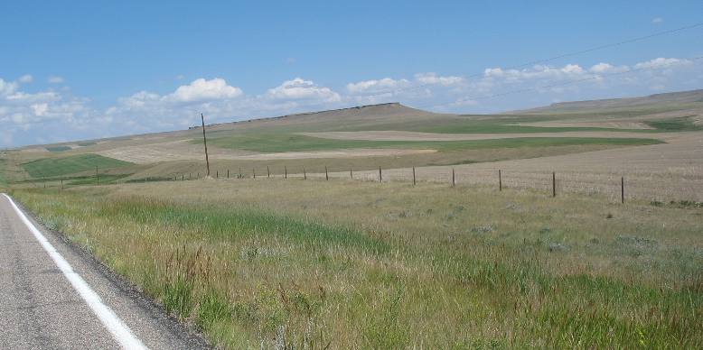 Montana wheat fields to the horizon northwest of Cut Bank