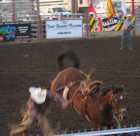 Rodeo in Helena, Montana